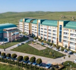 Arya Termal